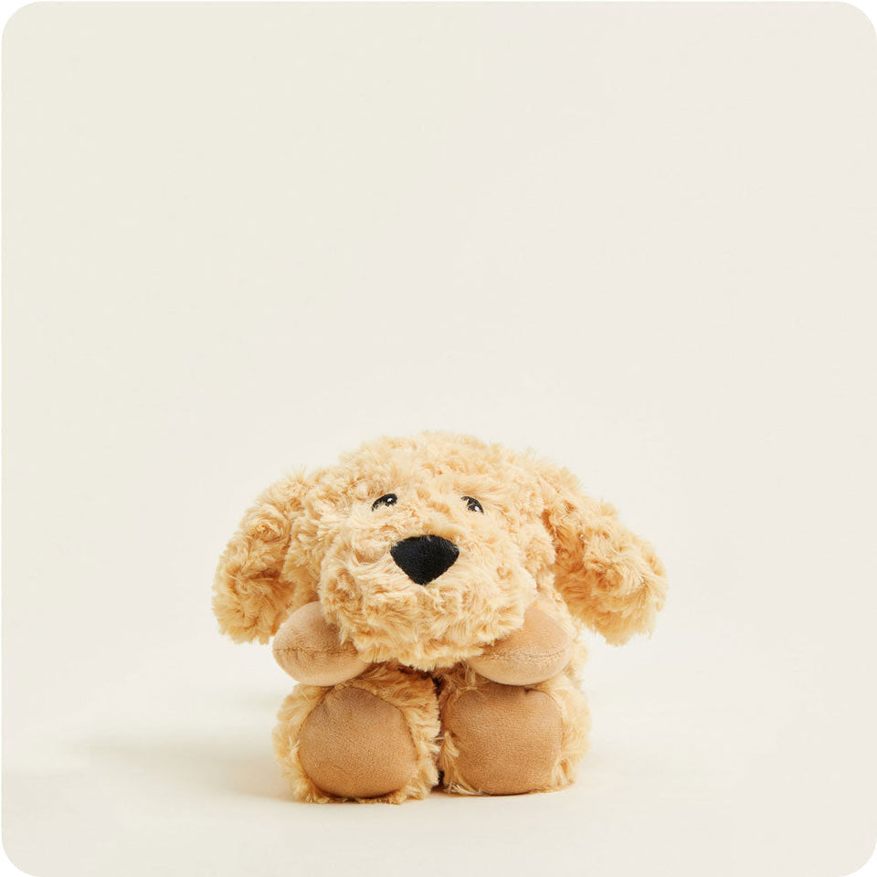 Golden Dog Wrap - Ivory Shelf Everyday Selection