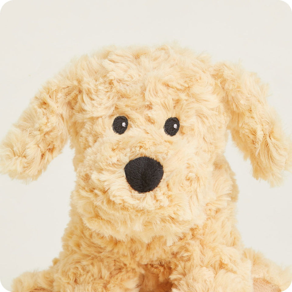 Golden Dog Junior - Gentle Kitchen Little Selection