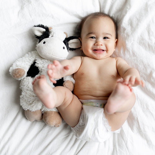 Image 103: Baby laying down with Cute Weighted Lavender Scented Black and White Cow Stuffed Animal Heating Pad Warmies